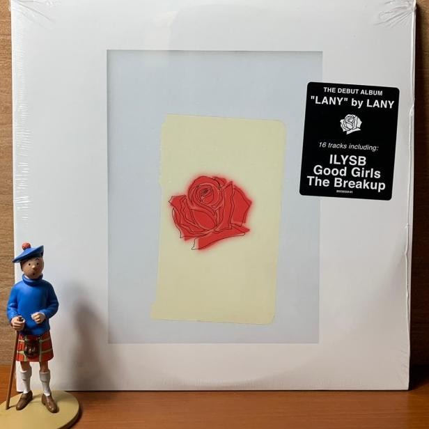 Piringan Hitam / Vinyl Lany - Lany