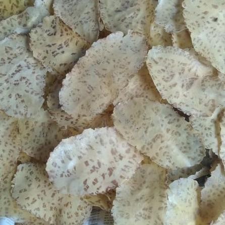 

Kerupuk Jengkol Mentah Dari Padang