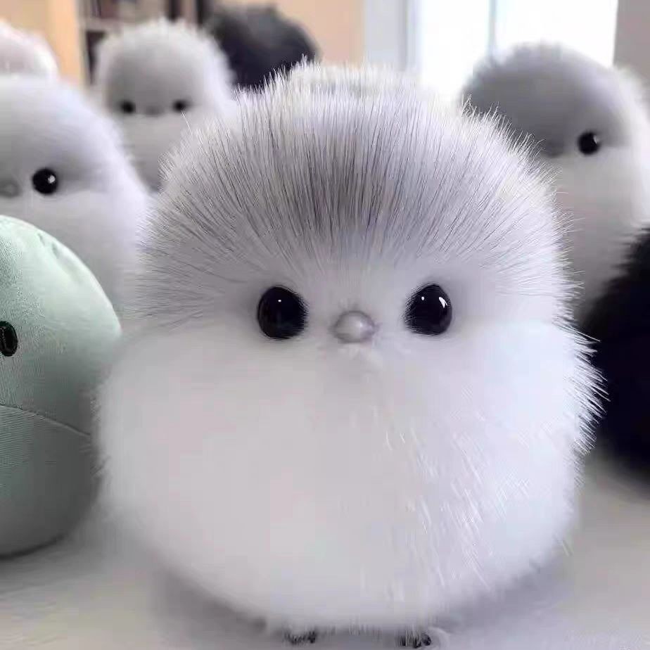 

Mainan Boneka Mewah Lucu Mainan Boneka Mewah Lucu