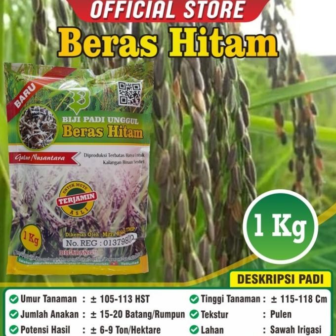 

Biji Padi Unggul Beras Hitam Kemasan 1 Kilogram / Bibit Padi Hitam COD