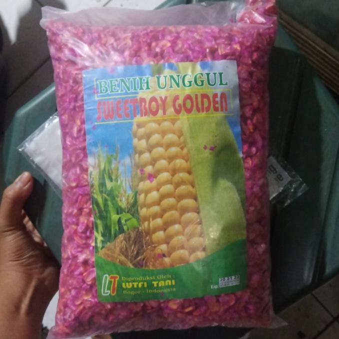 

Bibit Jagung Manis 1kg COD