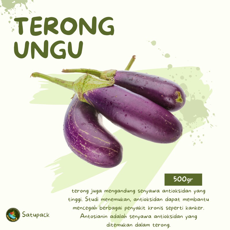 

TERONG UNGU - 500gr