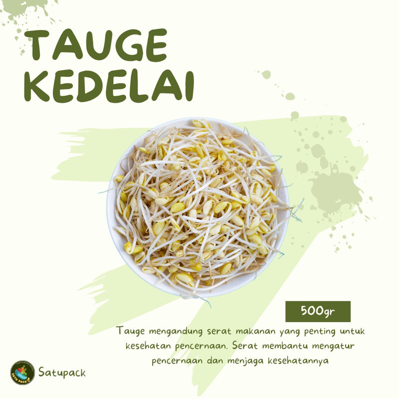 

TAUGE KEDELAI / TAUGE PANJANG - 500gr