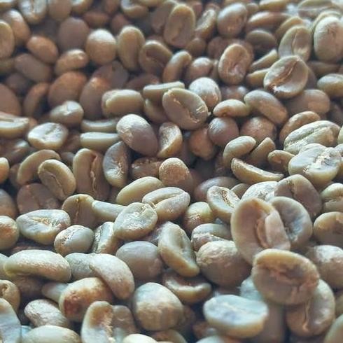 

Green Bean - Biji Kopi Arabika Luwak Liar Gayo