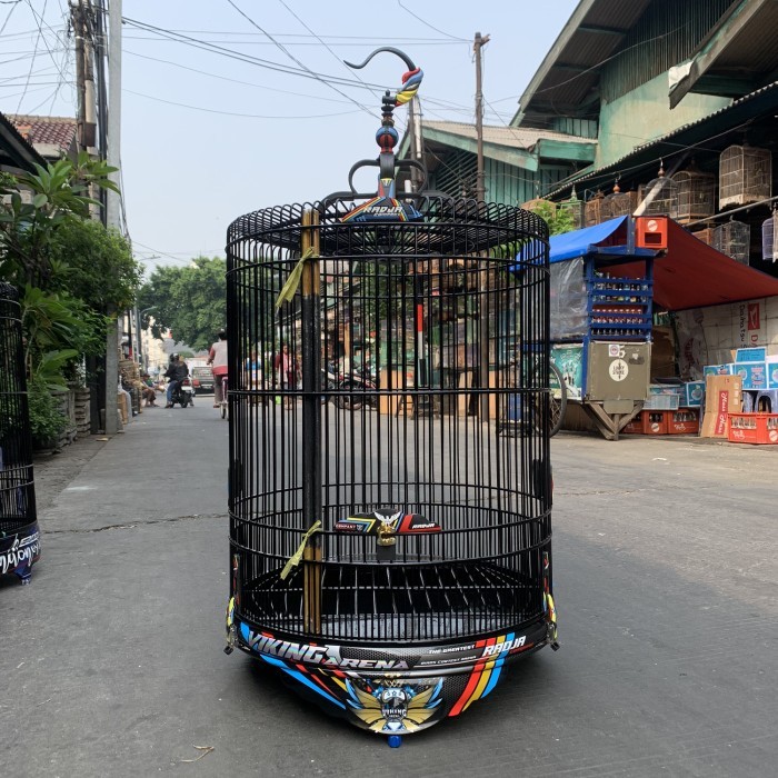 SANGKAR KANDANG MURAI RADJA COMPANY DECAL VIKING ARENA TERBARU