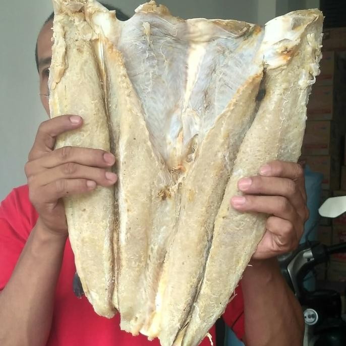 

Ikan asin Jambal Roti