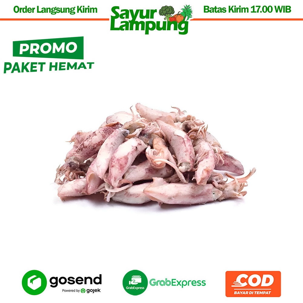 

PaHe Cumi Asin 100 Gr - Sayur Lampung