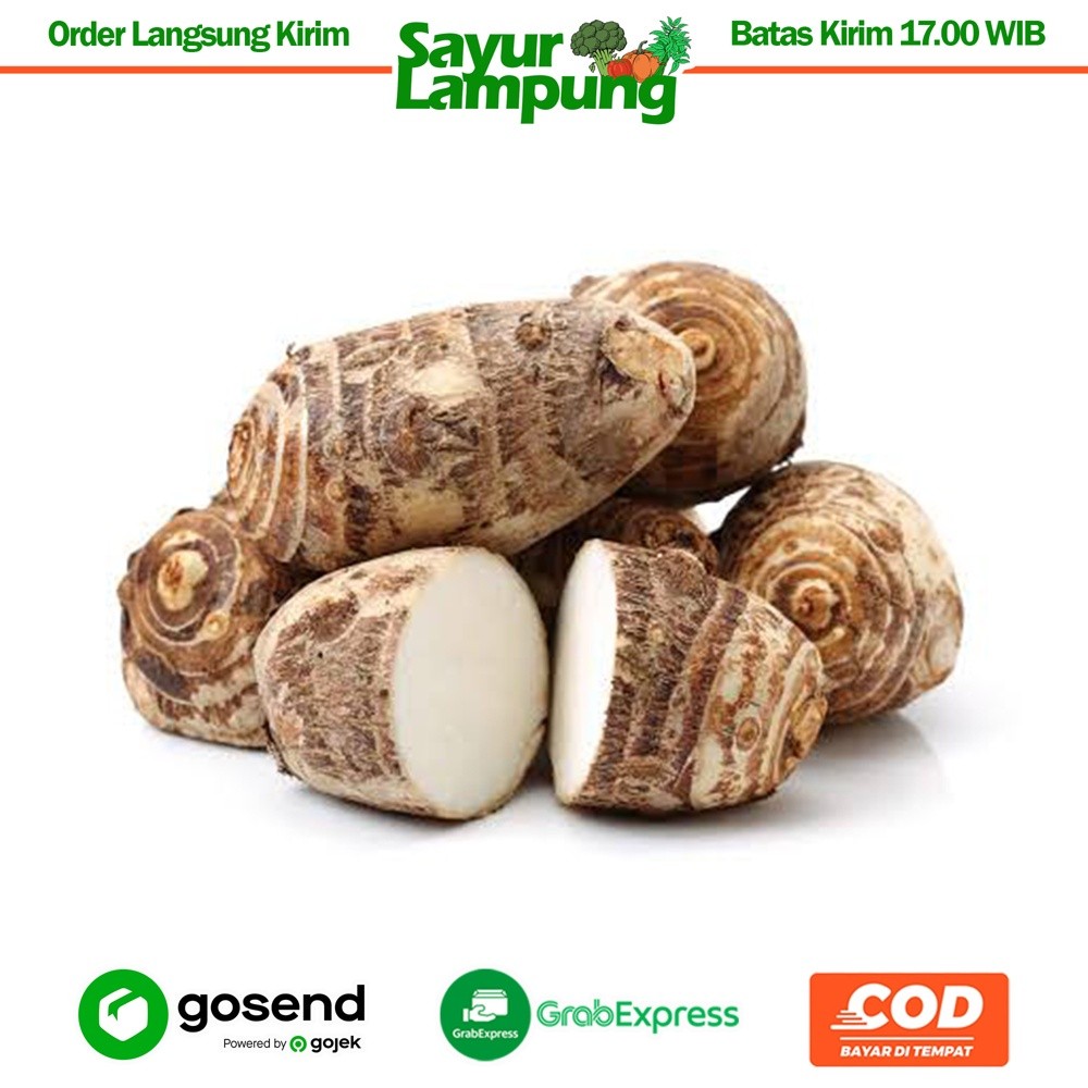 

Talas/Ubi Tales 1 Kg - Sayur Lampung