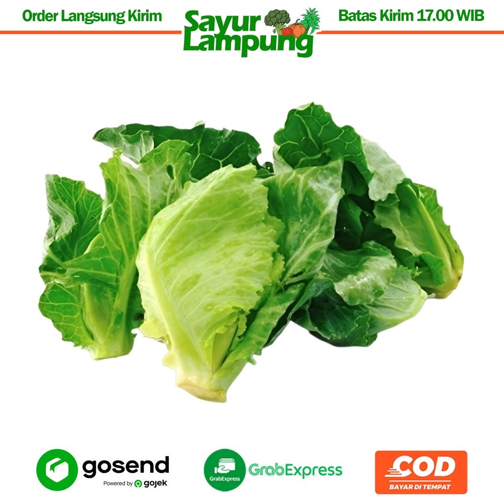 

Ceciwis/Tunas Kol 250 Gr - Sayur Lampung