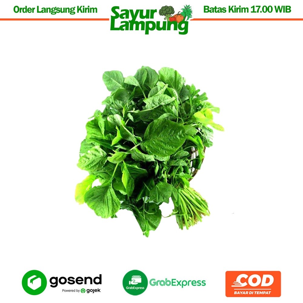 

Bayem Bayam Gajah 1 Ikat - Sayur Lampung