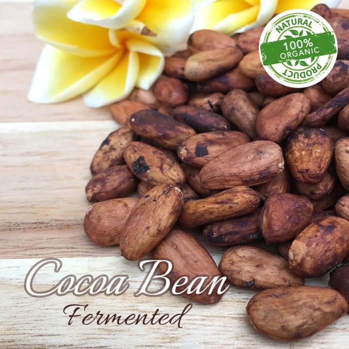 

RAW Cocoa Bean / Biji Kakao / Biji Cokelat fermented - 1kg
