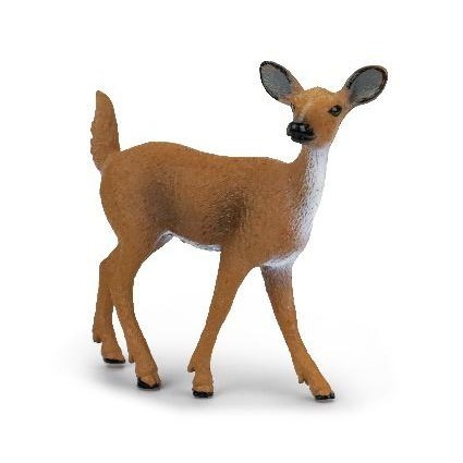 

New Canna Female White Tailed Deer X2039