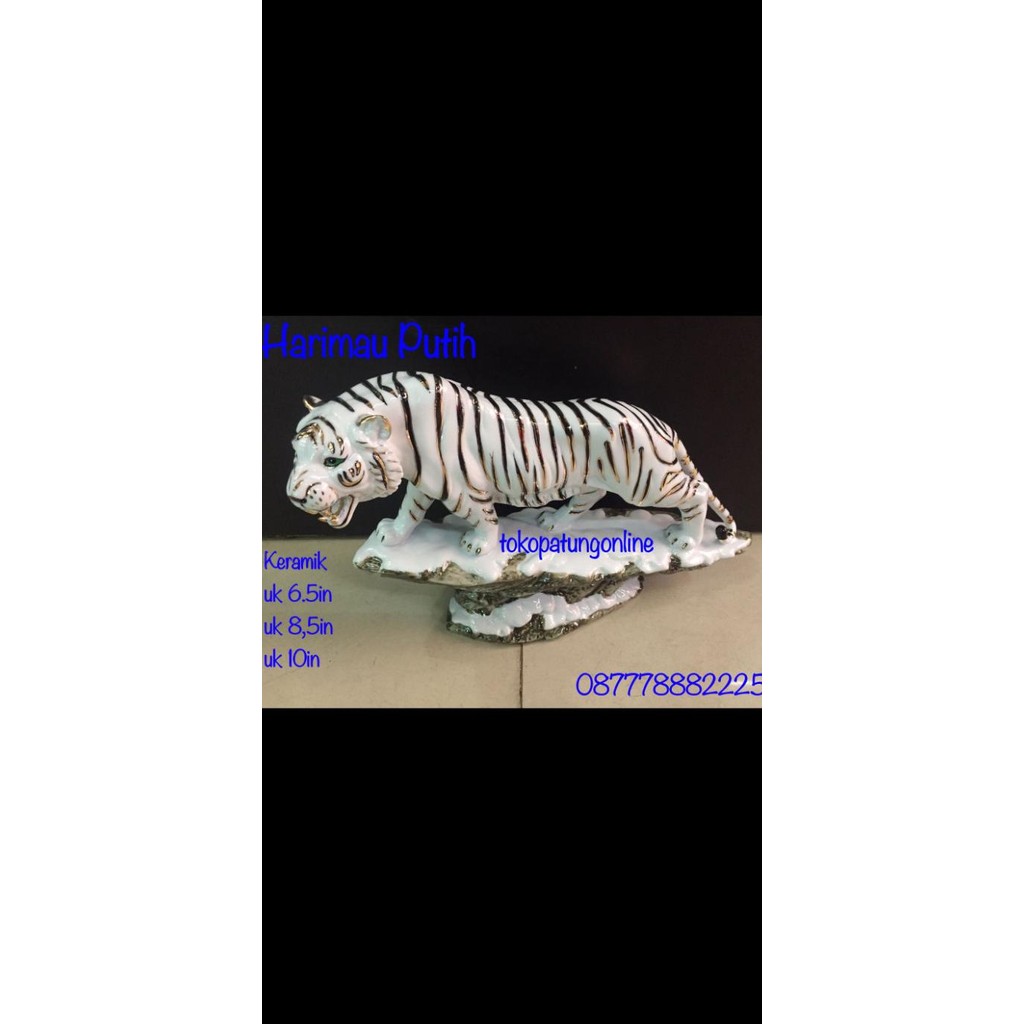 

Ready Patung Harimau Putih Import Keramik Uk 6.5in