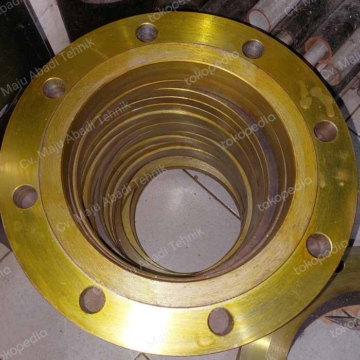 Terbagus Flange Besi Ansi 8" Inch Ansi 150