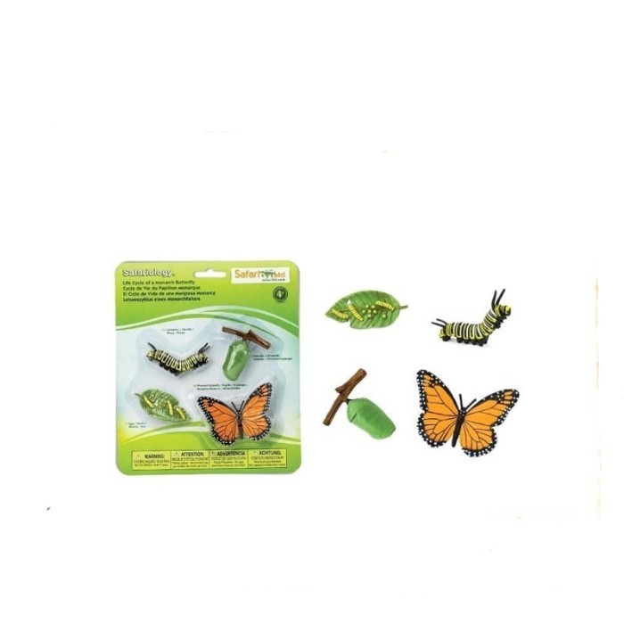 

TERBARU Montessori Cultural Life Cycle of a butterfly. figurines and cards