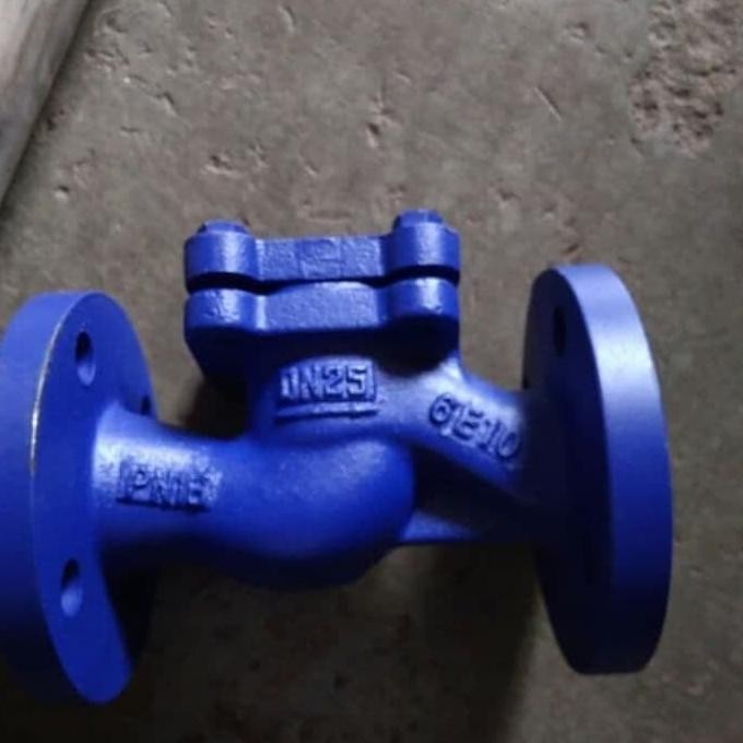 

1 1/4" Inch Left Check Valve Cast Iron Pn16 Terlaris