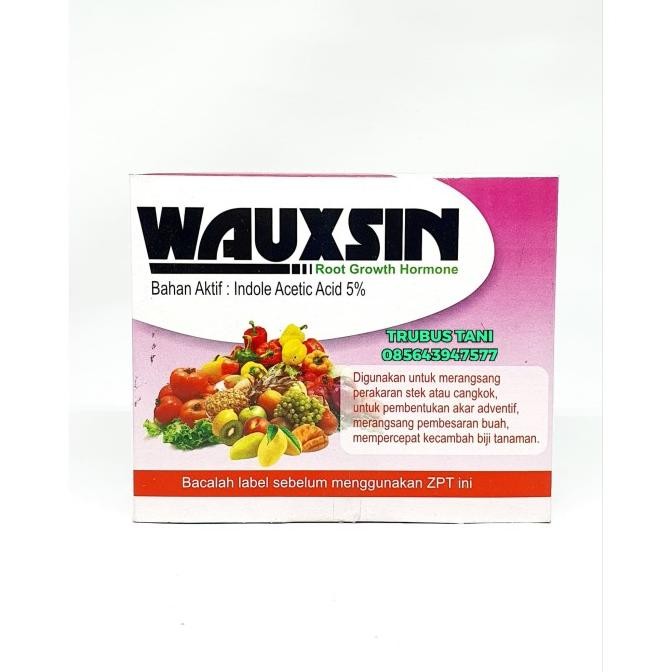 WAUXSIN Zpt Hormon akar