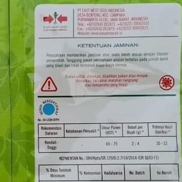 Benih cabe rawit DEWATA 43 F1 2.250 butir benih cabe rawit putih