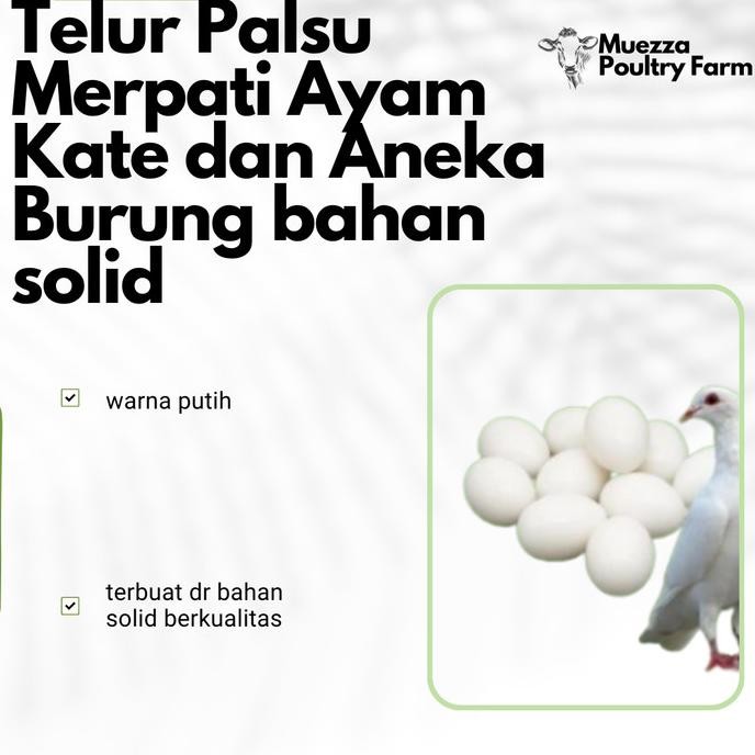 

Termurah Telur Palsu Merpati Ayam Kate dan Aneka Burung bahan solid COD