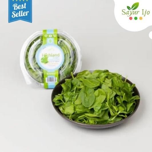 

Baby Spinach Highland Hidroponik 100 Gr Fresh Bayam Hydro Sayur Segar GLM