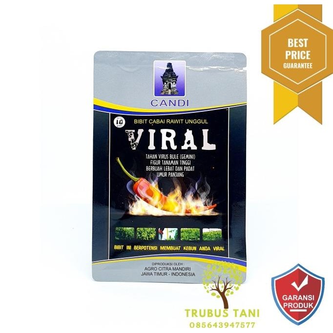 Benih Cabe Rawit Merah VIRAL 10gr - BIBIT VIRAL