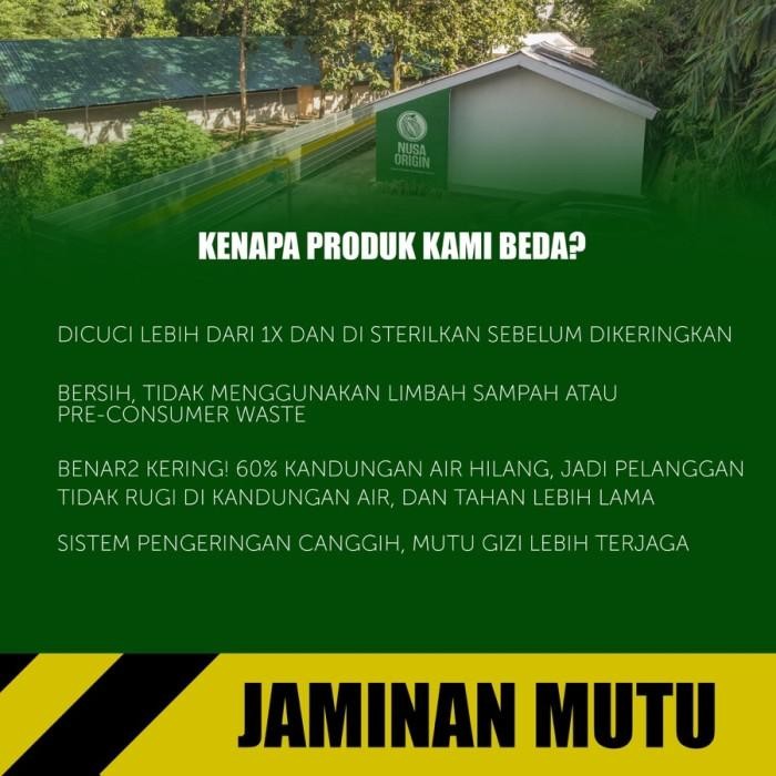 Maggot Nusantara Koi 500 Gr