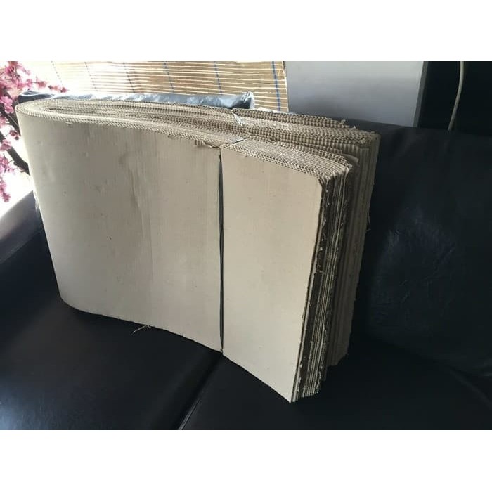 

Ardu Paing 80100Cmingle Faceatu Muapolo Baru