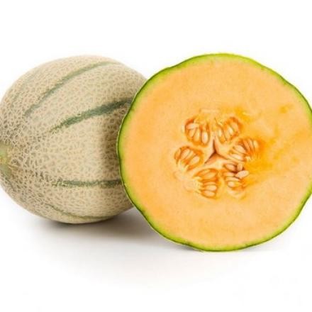 Kk - Benih melon RZ Rangipo - 100 seed kemasan repacking