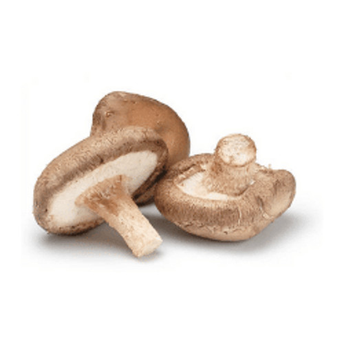 

Jamur Shiitake 1 pack oFresh Batam
