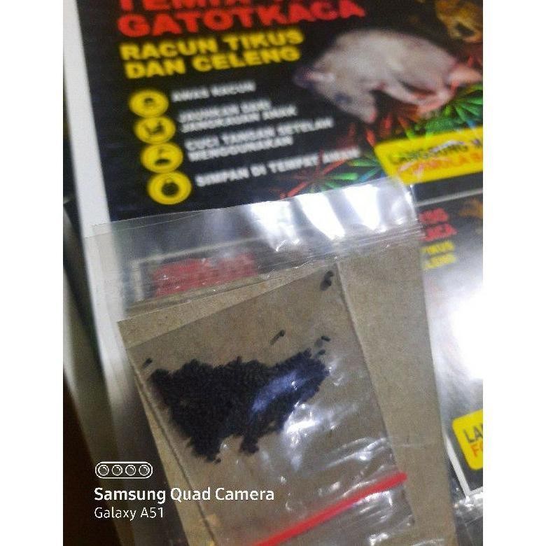 Flash Sale New Arrival Racun Tikus Temix Gatotkaca Renteng Grosir