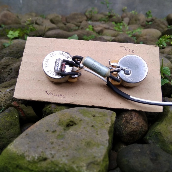 Wiring Gitar Bass Custom