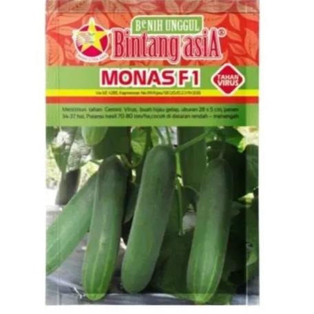 Timun Monas 900 Butir Timun monas 900 butir, Benih Monas F1, Buah Mentimun, Benih Mentimun Lalap Pro