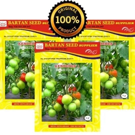 Kendedes Dt 5 Gr Benih Tomat Kendedes - Ken Dedes Tomat - 5Gram Produk