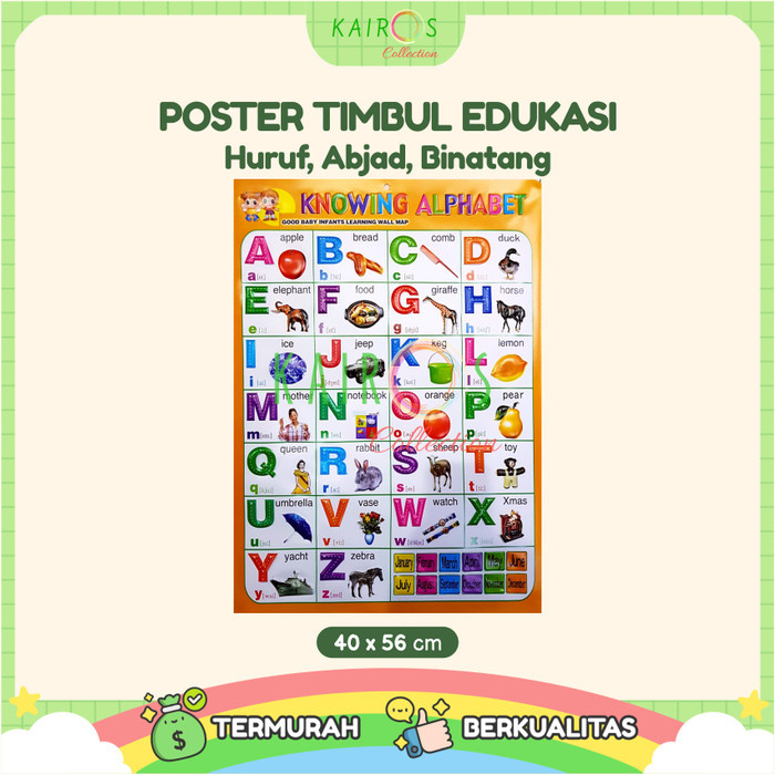 Poster Anak Timbul Belajar Aneka Binatang dan Huruf Abjad Alphabet STOK TERBATAS Kode 1202