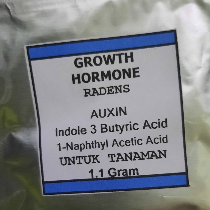 HORMON ZPT PUPUK AUXIN INDOLE 3 BUTYRIC ACID IBA DAN NAA