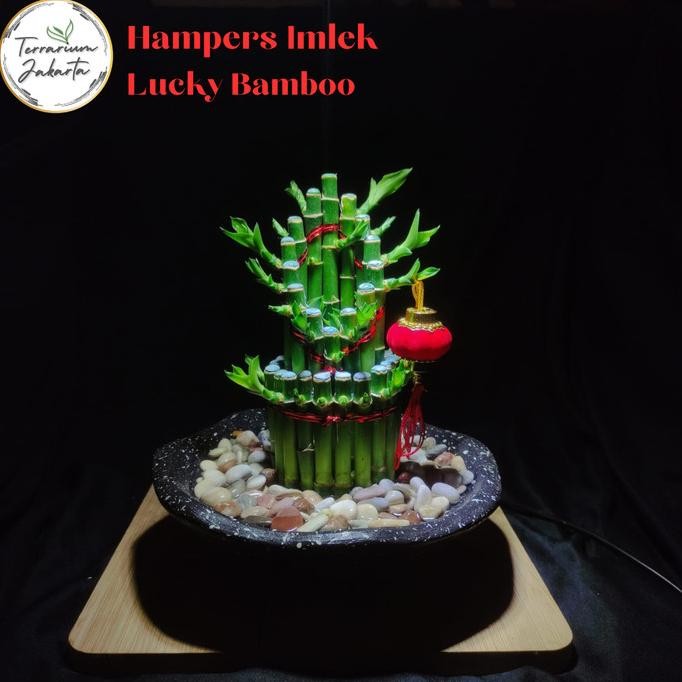 

Fgh Hampers Imlek 2024 - Lucky Bamboo