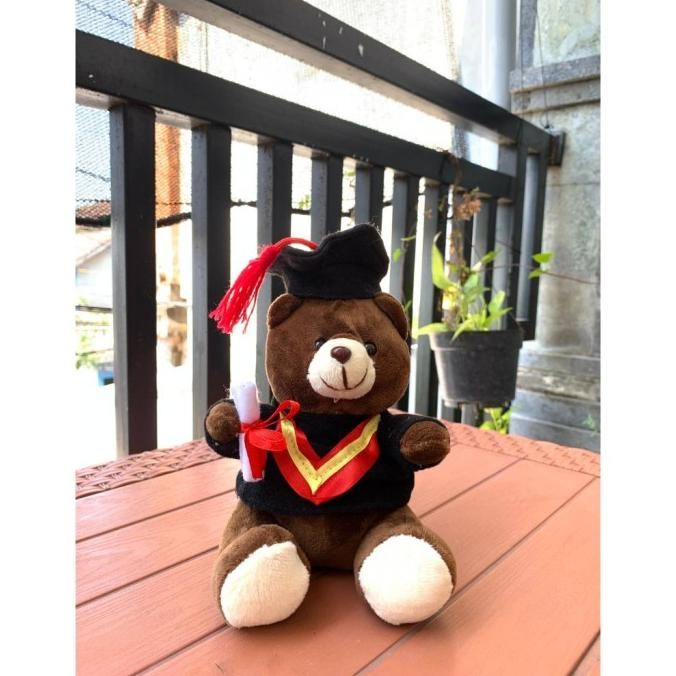 '+'+'+'+] boneka wisuda mini | grosir boneka bucket | boneka wisuda kecil