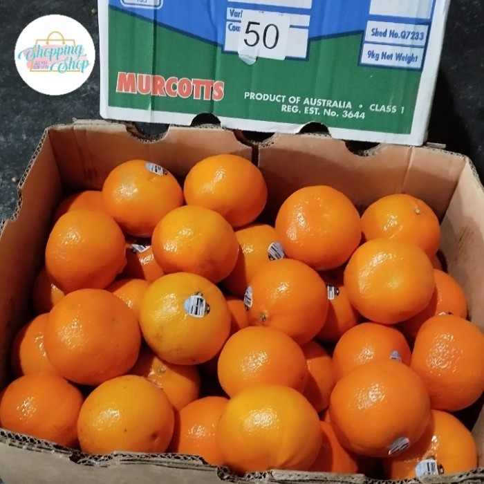

Honey Murcot Citrus Mandarin 1 box