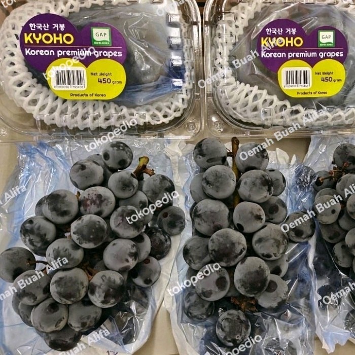 

ANGGUR KYOHO KOREA PREMIUM 1 PACK