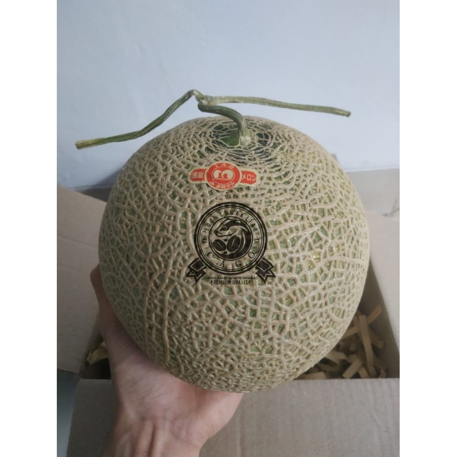 

Melon Kumamoto Arus Red Musk Melon Japanese Per Pcs Fresh Import