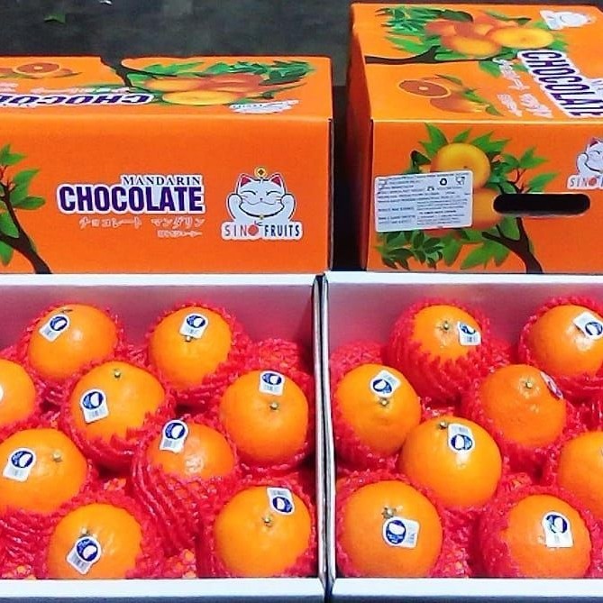 

jeruk mandarin aiyuan fresh infort