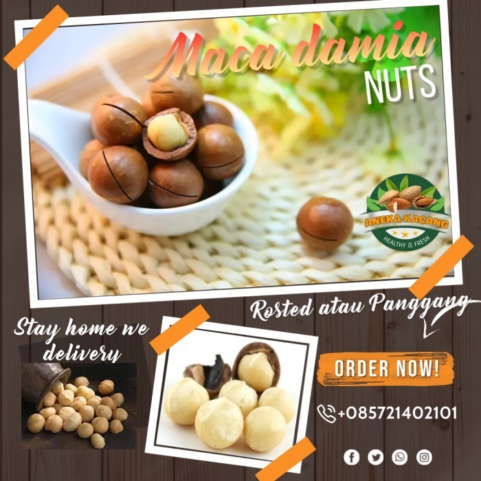 

Rosted Macadamia Nuts / Kacang Macadamia Panggang 250g