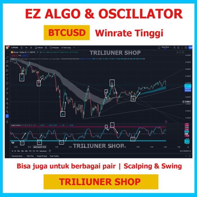 Garansi [WINRATE TINGGI] EZ ALGO Indikator Trading Forex Crypto Paling Akurat - XAUUSD (Gold) - BTC 