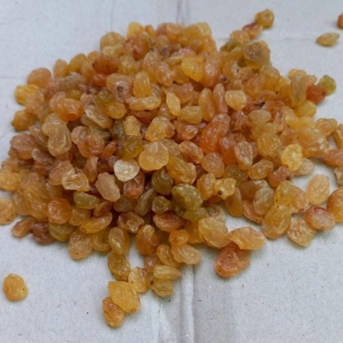 

SWEET RAISINS OF IRAN / KIMIS MANIS IRAN PUNYA 500 GRAM