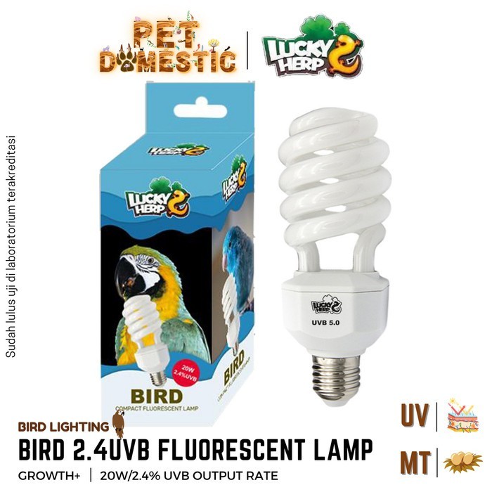 TERBARU LUCKYHERP BIRD LAMP 2.4% UVB VITAMIN LAMPU PENGHANGAT BURUNG KALSIUM