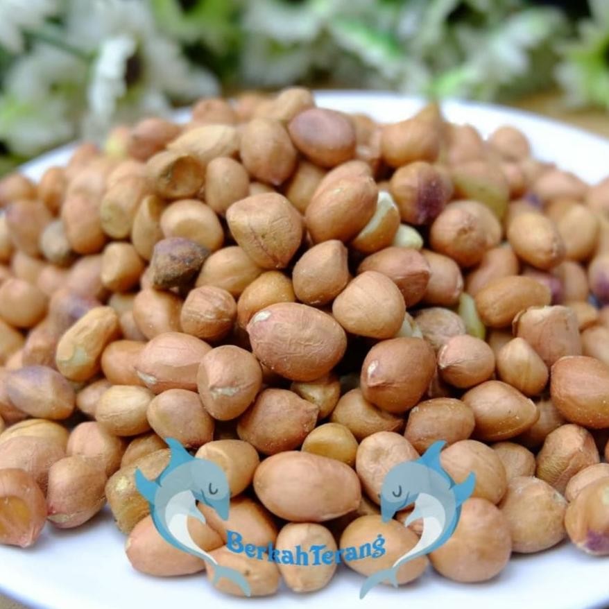 

Kacang Tanah Tuban Super 1kg / Kacang Tanah