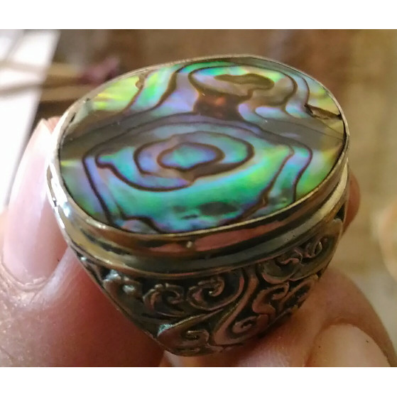 Abalone Shell HQ Origin New Zealand