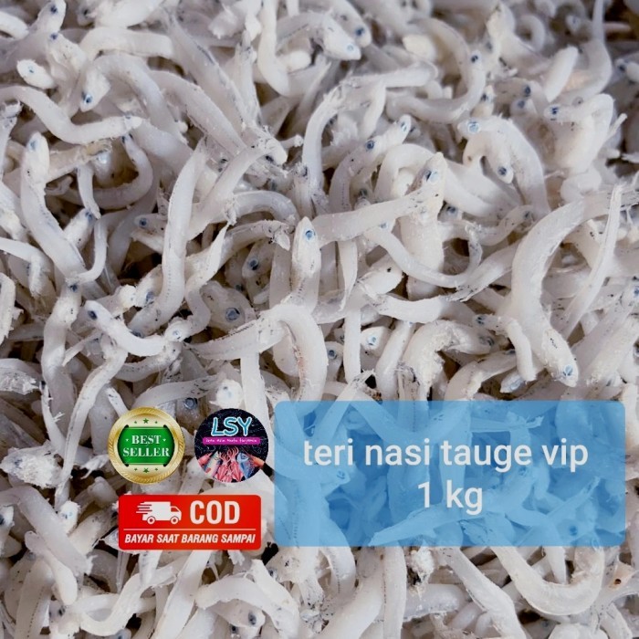 

IKAN ASIN TN TAUGE VIP / TERI NASI SIZE JUMBO 1KG