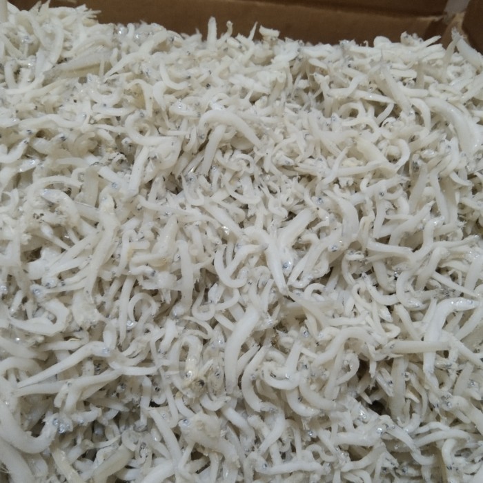 

PROMO TERI MEDAN 1KG/IKAN ASIN TERI NASI