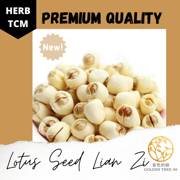 

600GR PREMIUM LOTUS SEED LIAN ZHI LIANZHI ORIGINAL FRESH STOK BARU